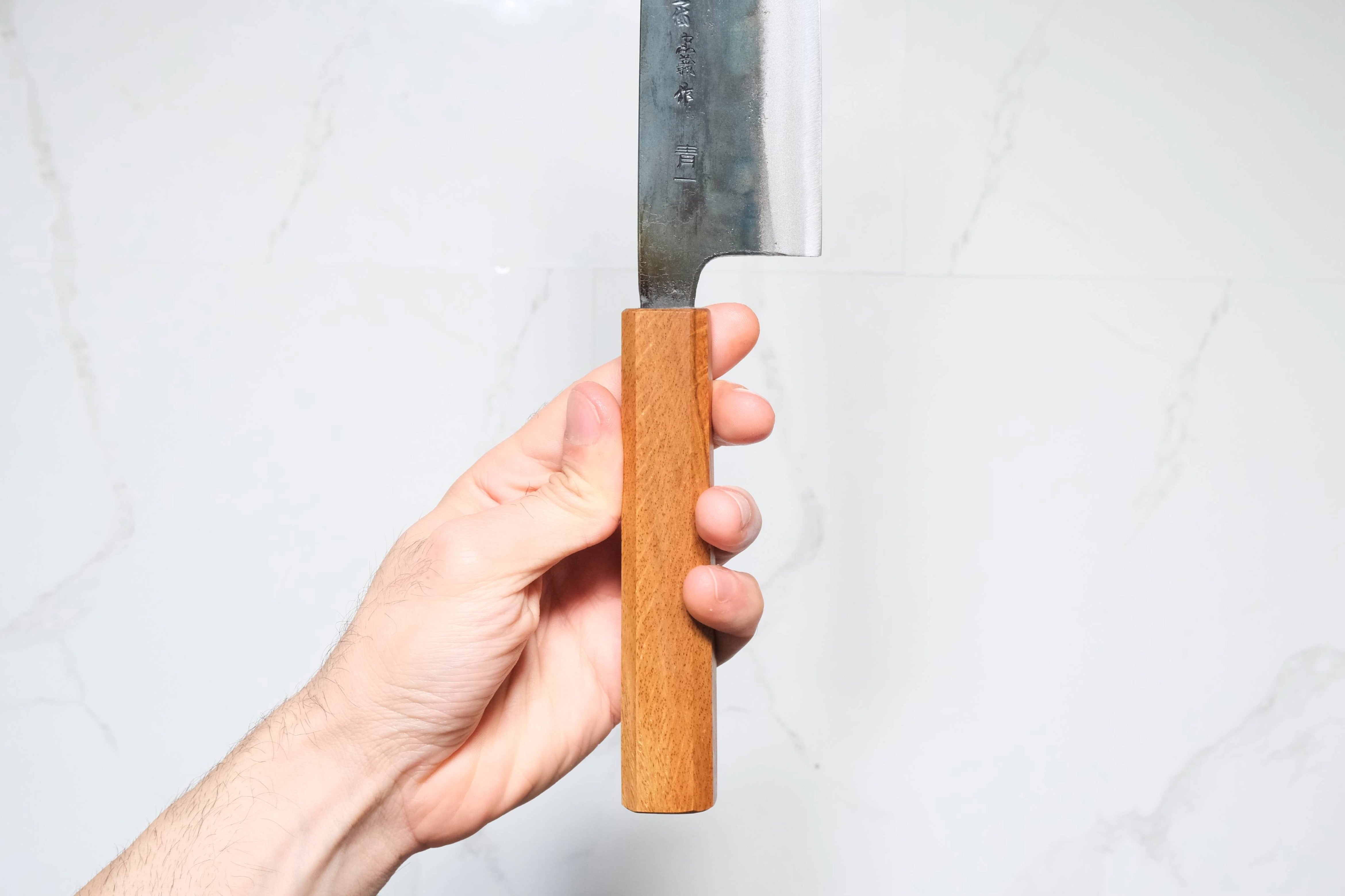 Tosa Tadayoshi Aogami #1 Gyuto - Kurouchi 210mm