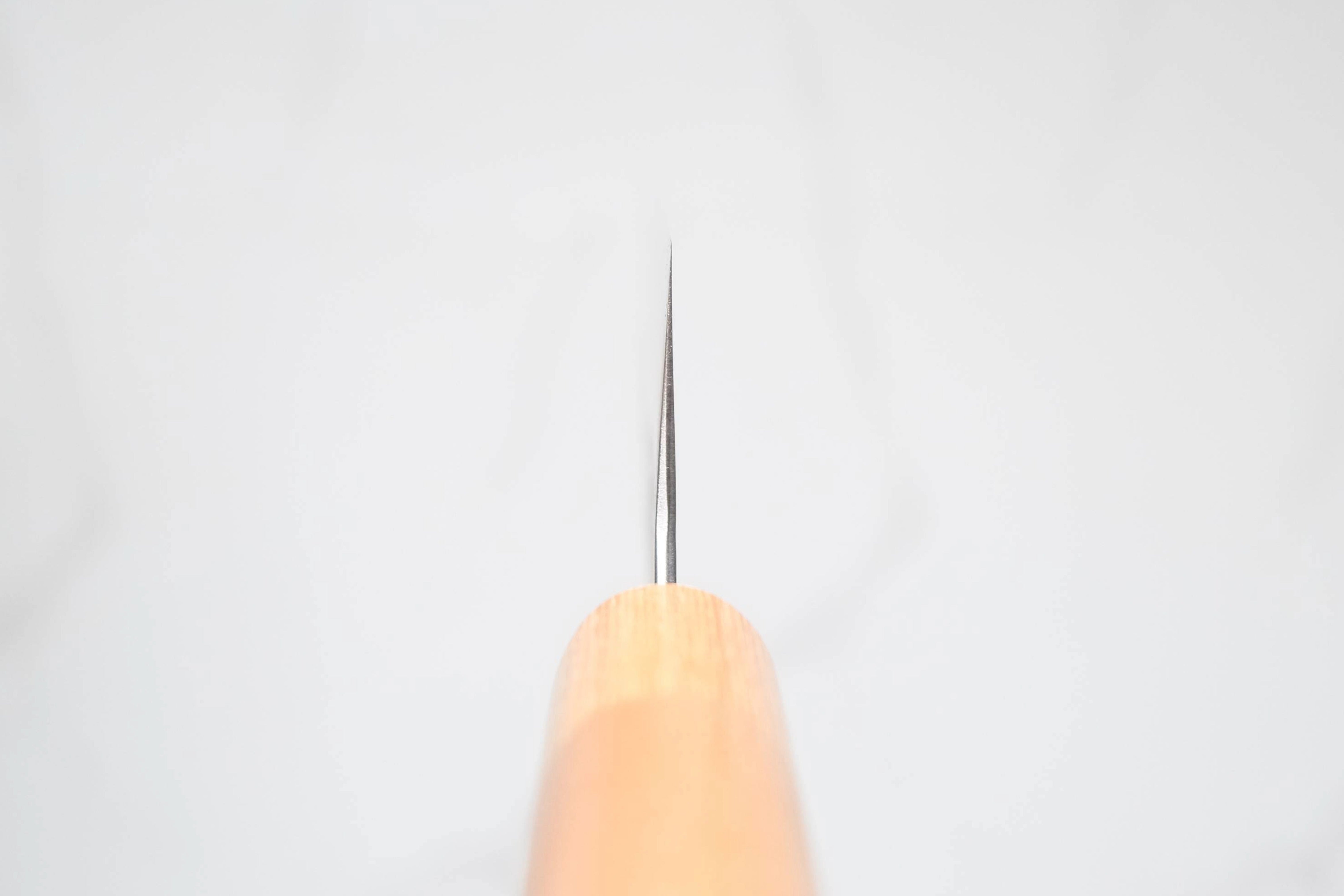 Tsunehisa Shirogami #2 Kiritsuke - Tsuchime 210mm