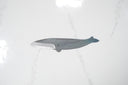 Kujira Blue Paper #2 Whale Craft — görsel 7