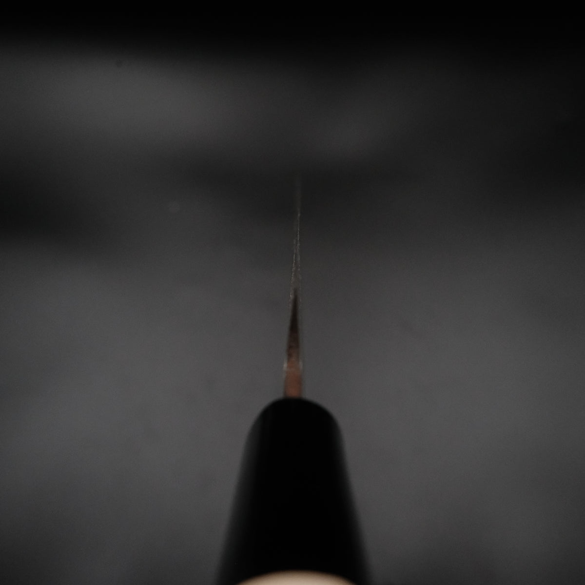 SK Çelik Yanagiba 240mm