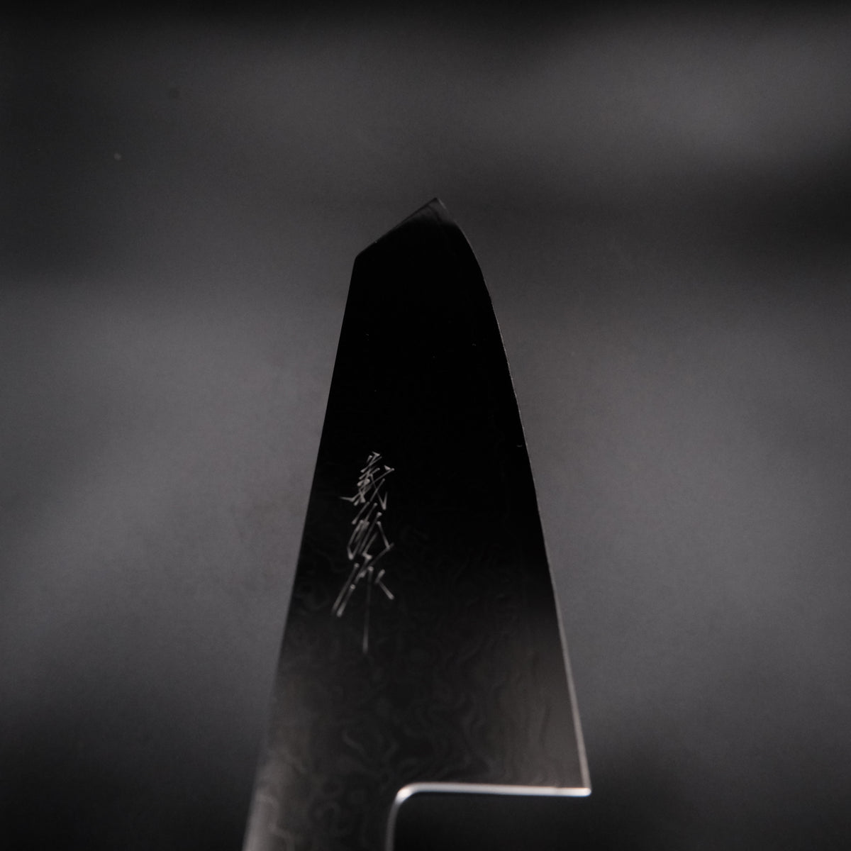 Yoshihiro Ginsan Kiritsuke Gyuto 210mm, k-tip uç yakın çekim