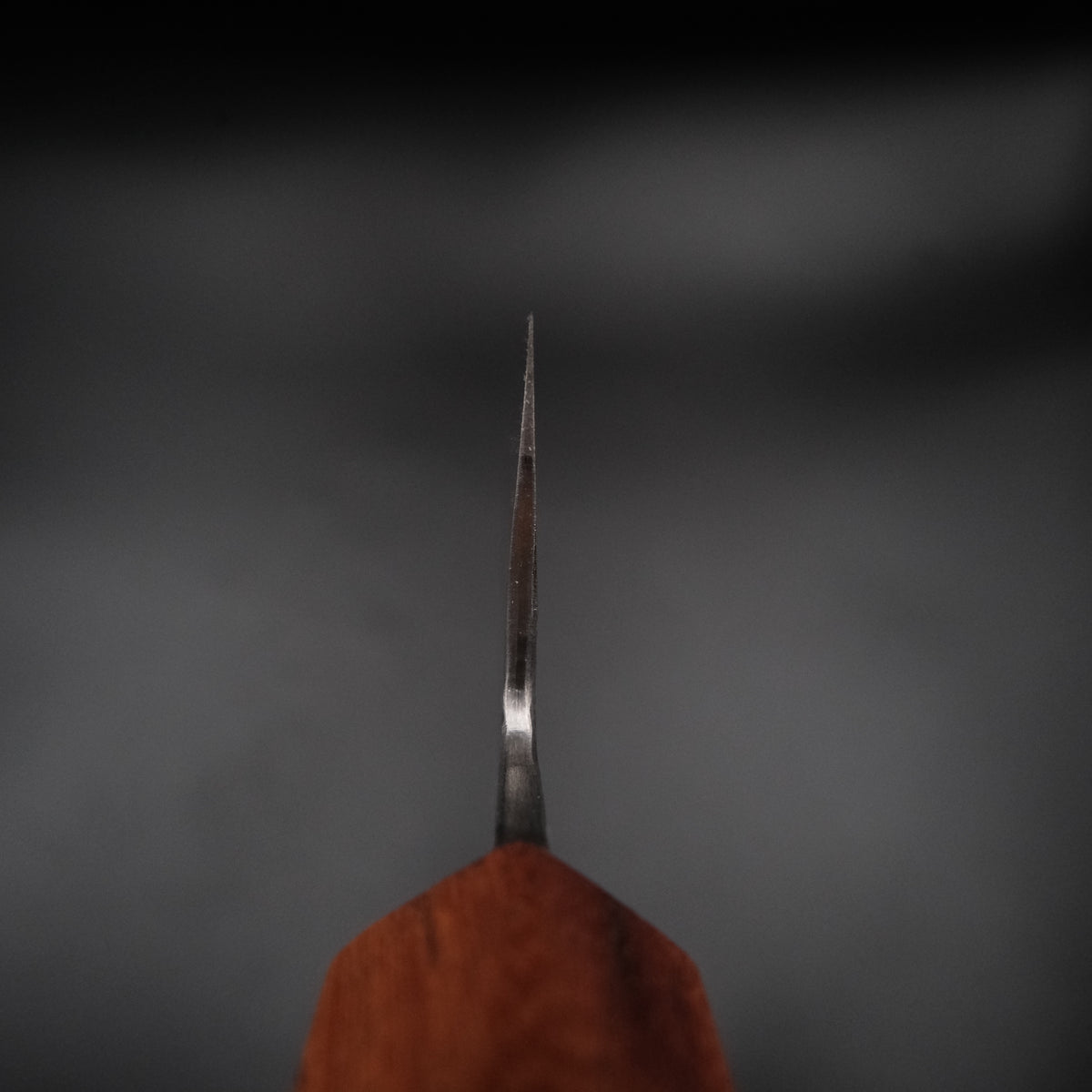 Isamitsu Shirogami #1 Kiritsuke 165mm, ağız inceliğini gösteren önden görünüm
