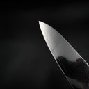 Yoshihiro Ginsan Gyuto 210mm uç bölgesi yakın çekim — görsel 7