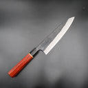 Nao Yamamoto Aogami #2 Gyuto 210mm, paduk saplı, detay görünümü 4 — görsel 4