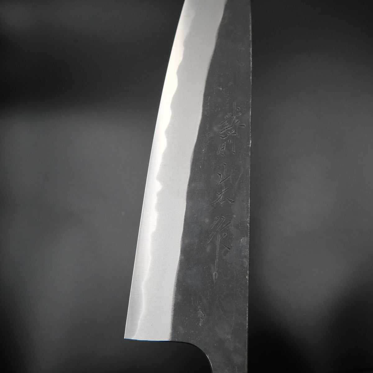 Nao Yamamoto Aogami #2 Gyuto 210mm, paduk saplı, detay görünümü 11