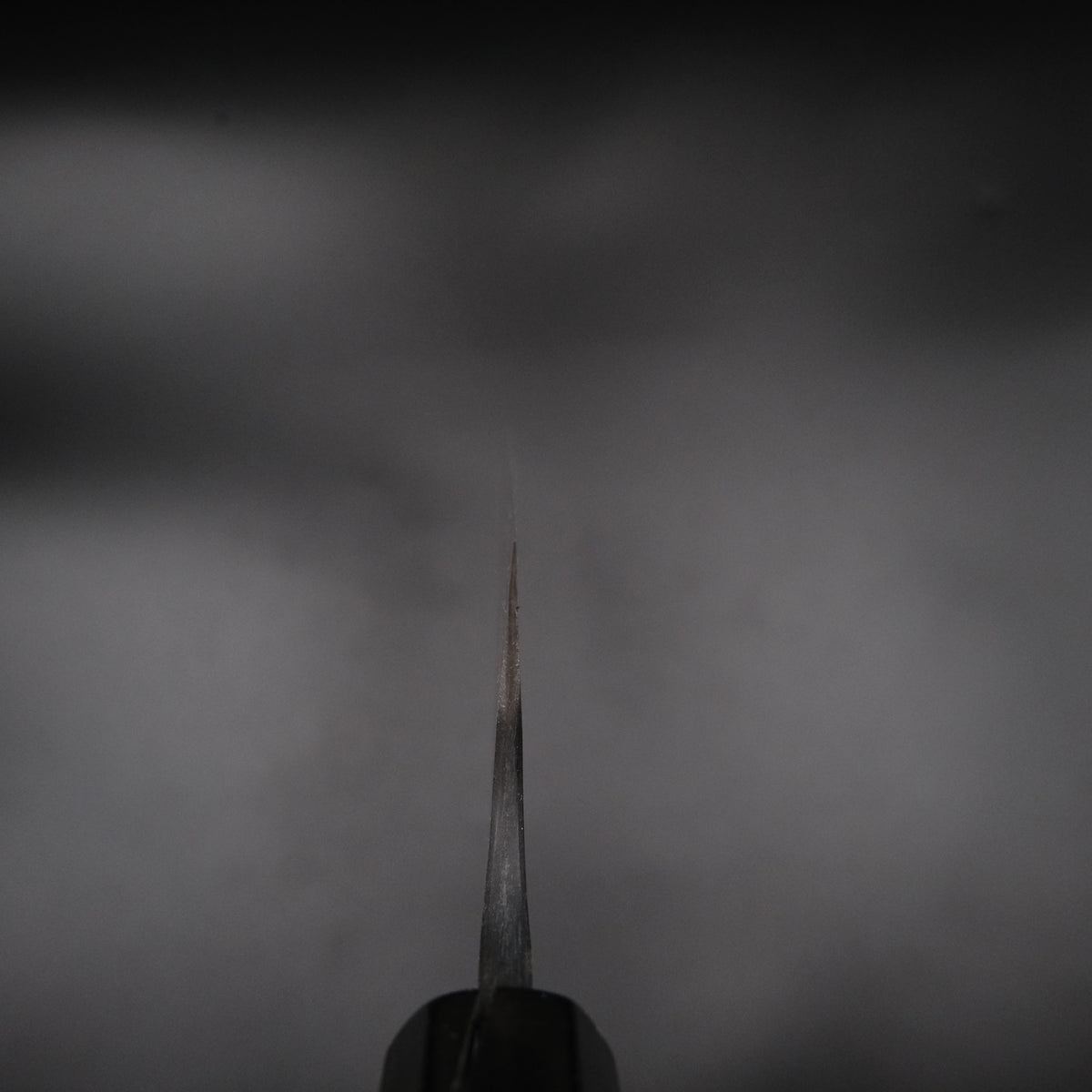 Nao Yamamoto Aogami #2 Gyuto 210mm, venge saplı, detay görünümü 10
