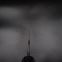 Nao Yamamoto Aogami #2 Gyuto 210mm, venge saplı, detay görünümü 10 — görsel 14