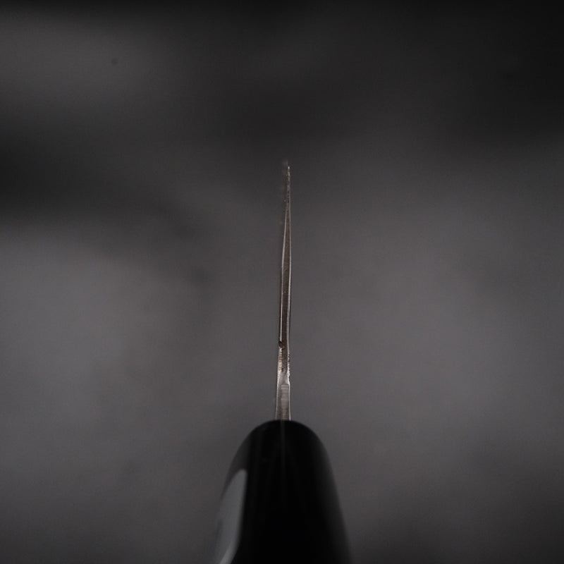 Teruyasu Fujiwara Shirogami #1 Santoku 165mm, detay görünümü 13