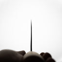 Sentan Aogami #2 Çin Satırı - Kurouchi 190mm — görsel 10