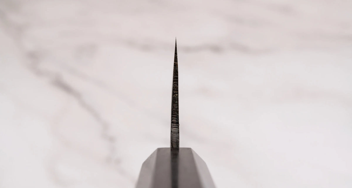 Hatsukokoro Aogami #1 Gyuto Kokugei - Kurouchi 210mm