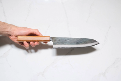 Tosa Tadayoshi Aogami #1 Gyuto - Kurouchi 210mm