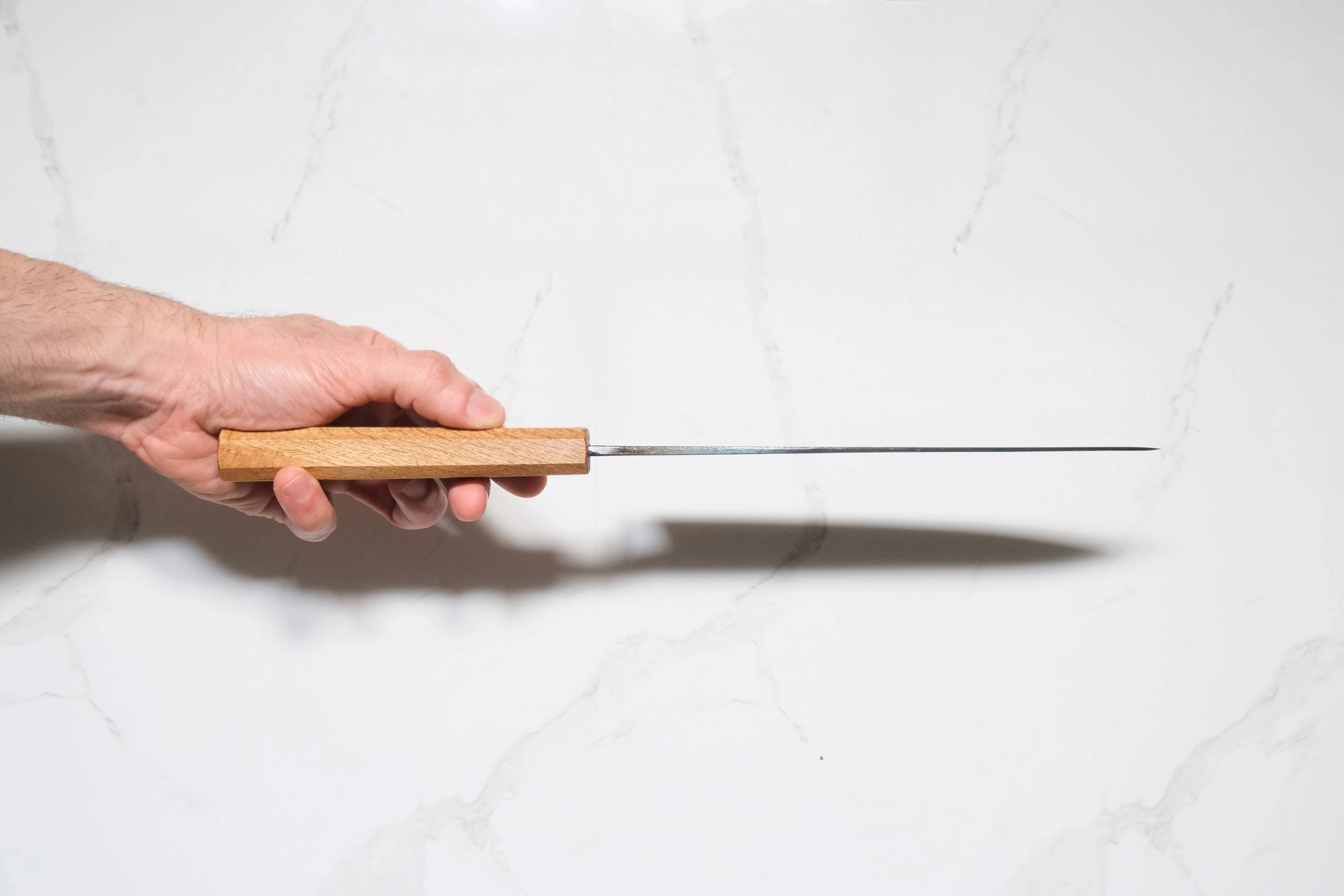 Tosa Tadayoshi Aogami #1 Gyuto - Kurouchi 210mm