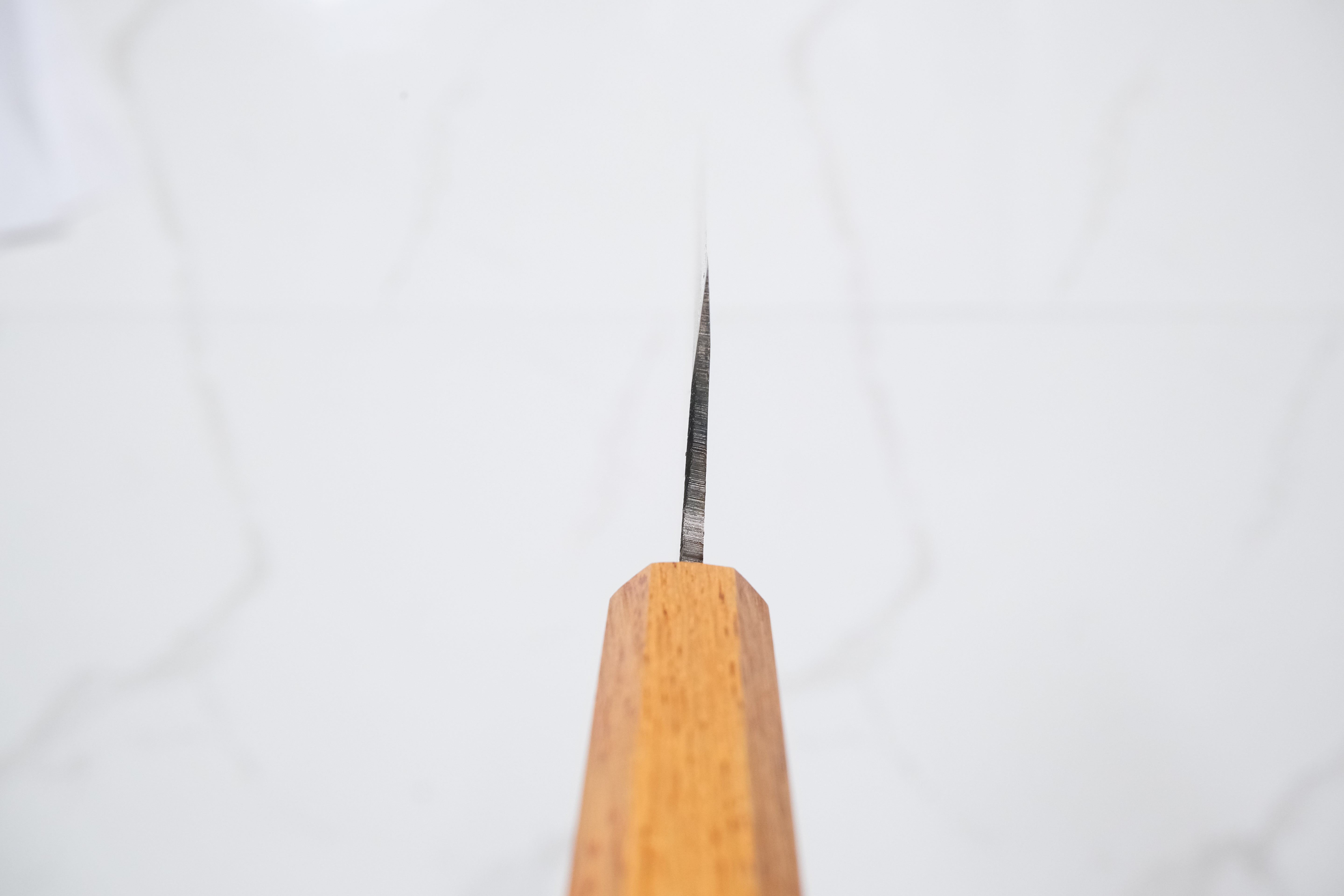 Tosa Tsukasa Shirogami #1 Gyuto - Kurouchi 210mm