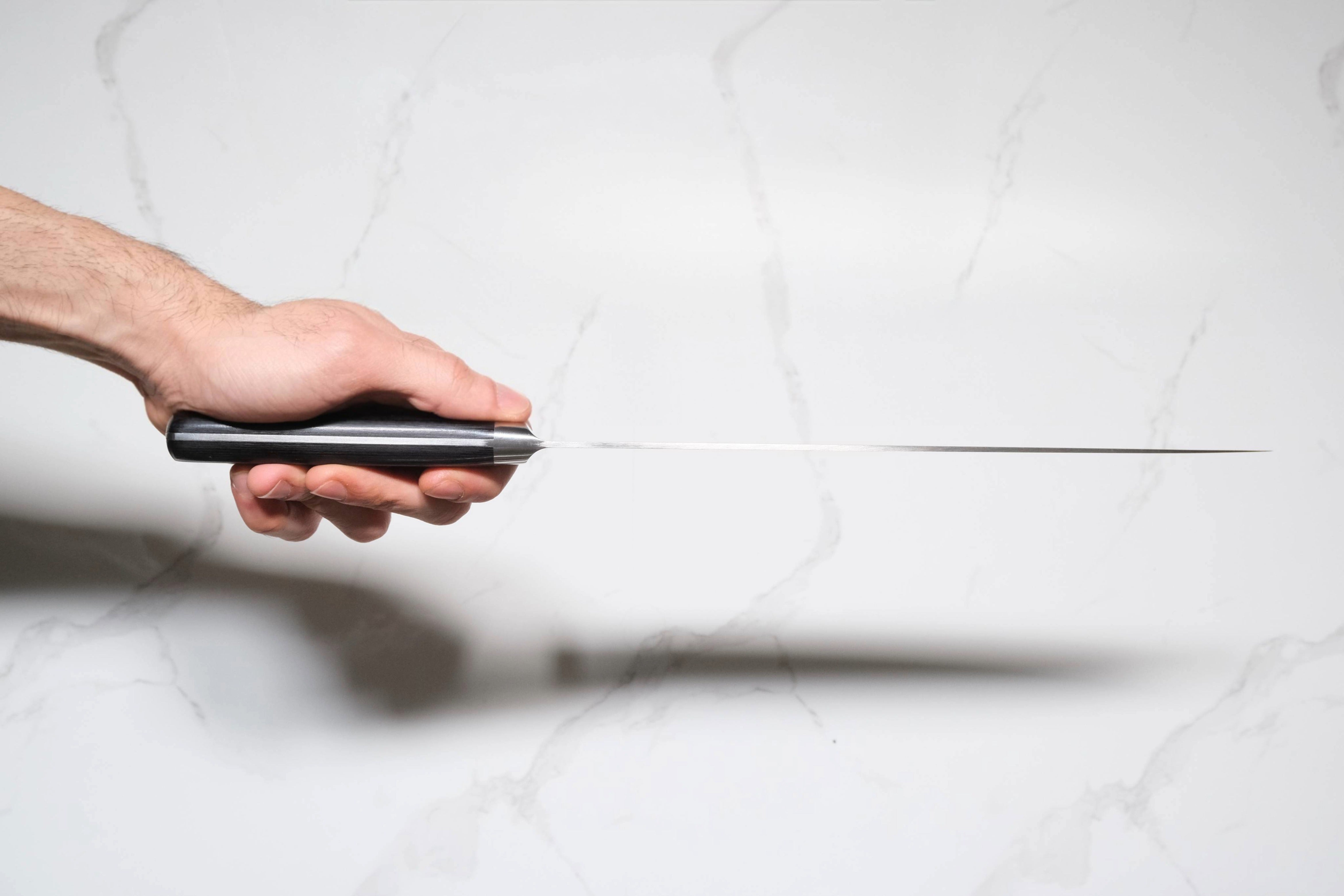 Tsunehisa AUS-8 Gyuto - 270mm