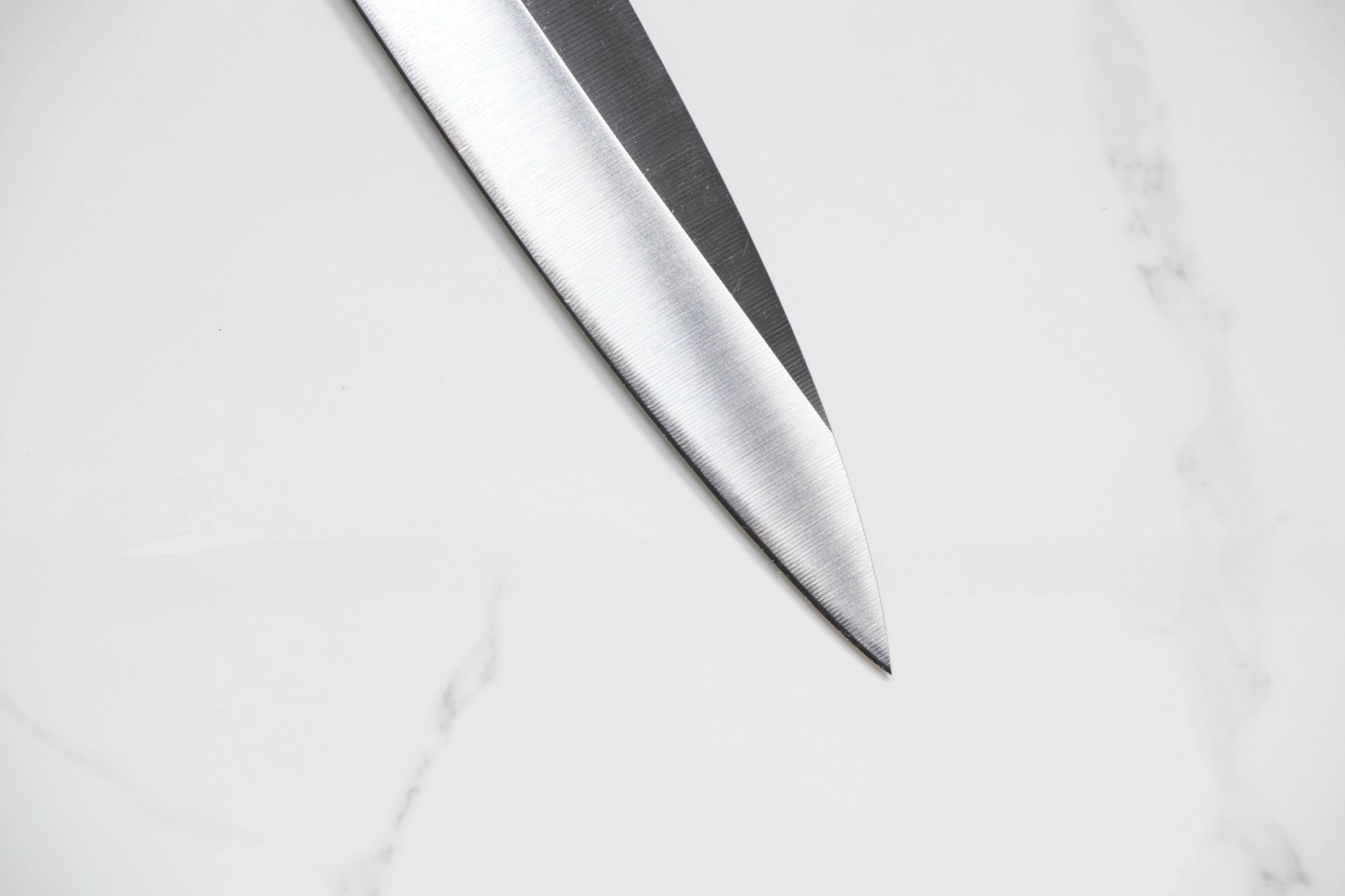 Tsunehisa AUS-8 Yanagiba - 270mm