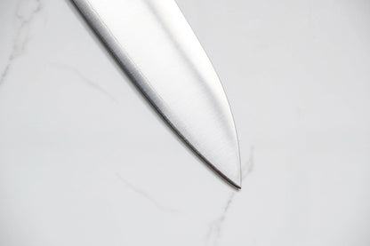 Tsunehisa SLD Gyuto - Mirror 210mm