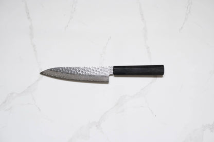 Tsunehisa VG-10 Gyuto - Damascus Tsuchime 180mm