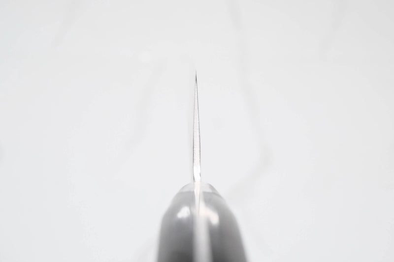 Tsunehisa AUS-8 Gyuto - Tsuchime 270mm