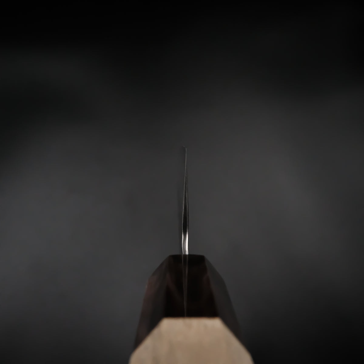 Tsunehisa Shirogami #2 Bunka - Tsuchime 165mm