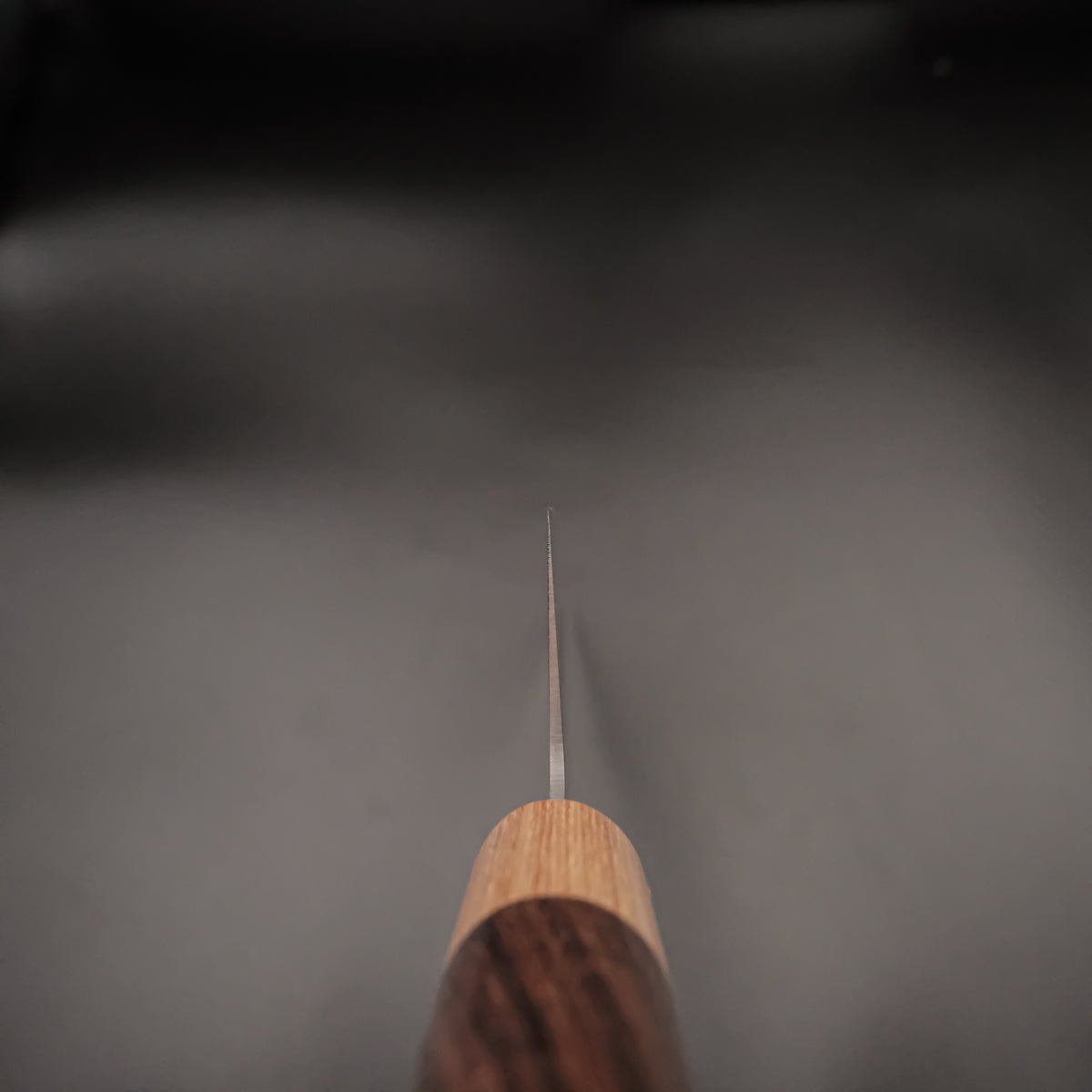 Tsunehisa VG-1 Gyuto - Migaki 270mm