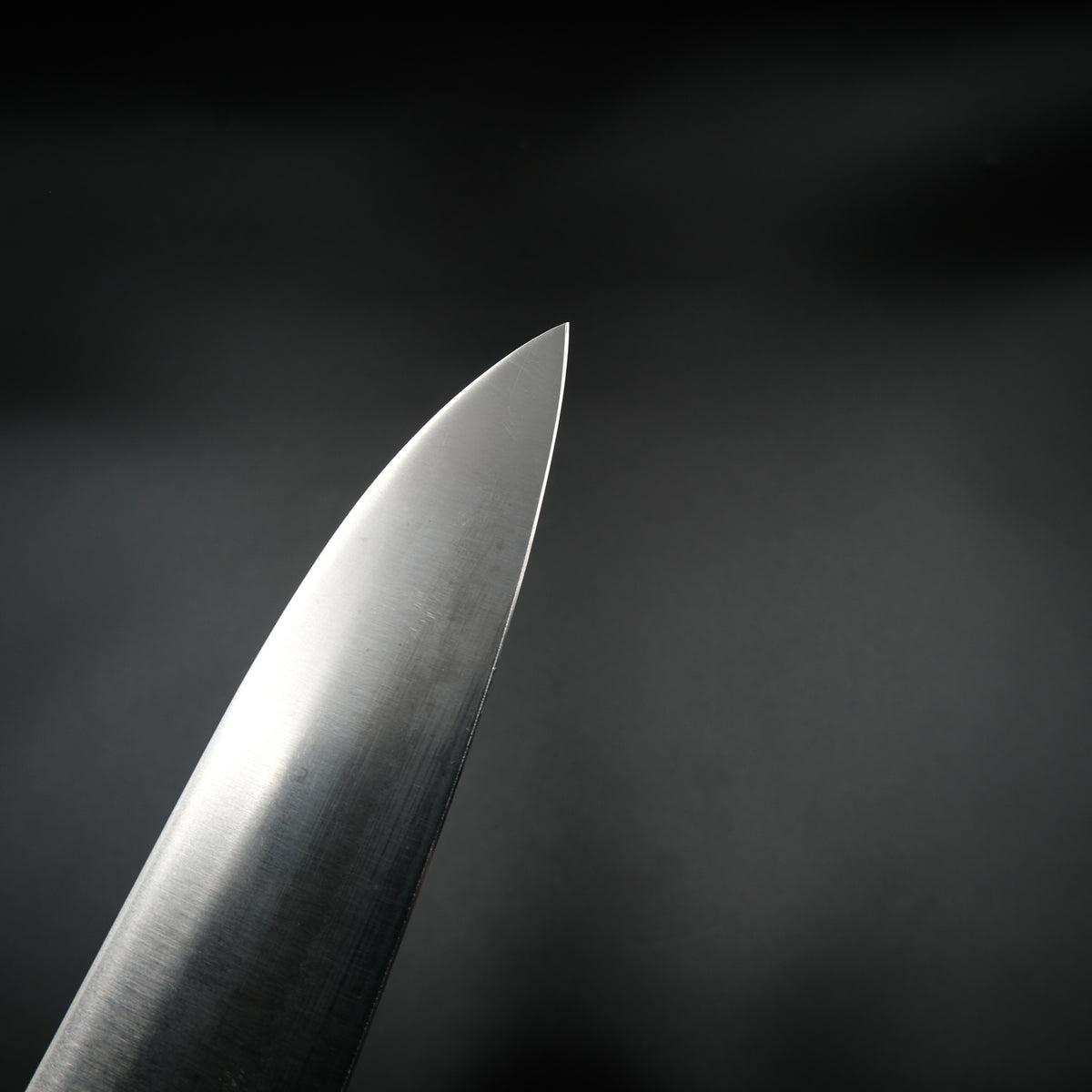 Hisashige Japon Çeliği (Nihonko) - Gyuto 270mm
