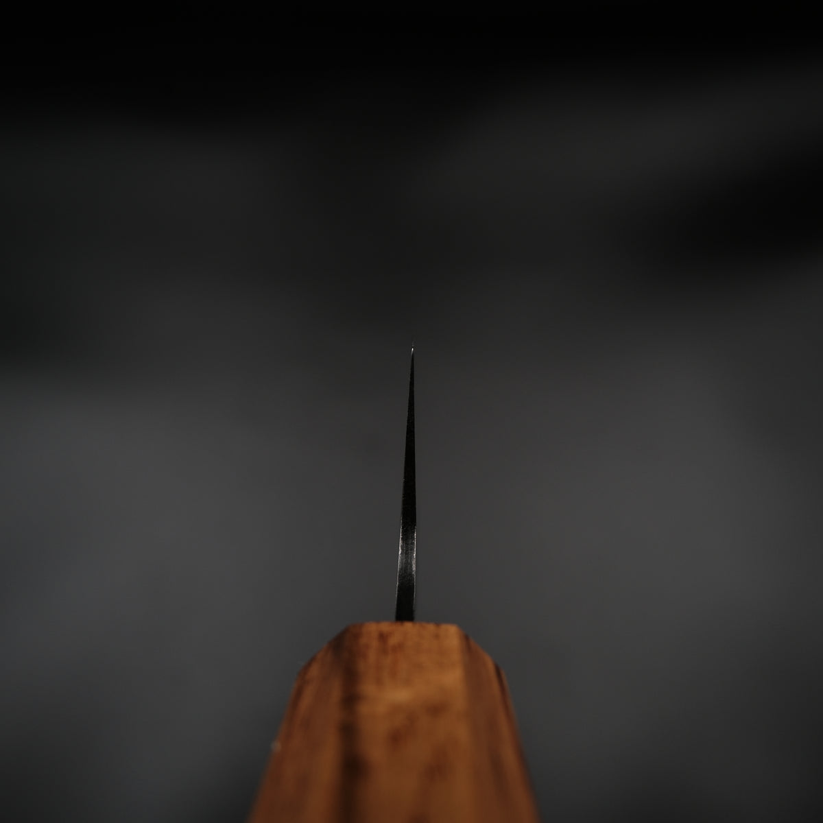 Molybdenum Gyuto - Tsuchime 210mm