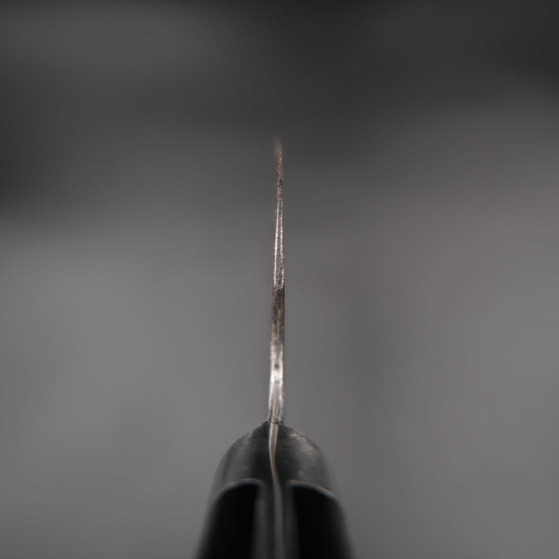 Teruyasu Fujiwara Maboroshi Gyuto - Western 195mm — Japon mutfak bıçağı (görünüm 12)