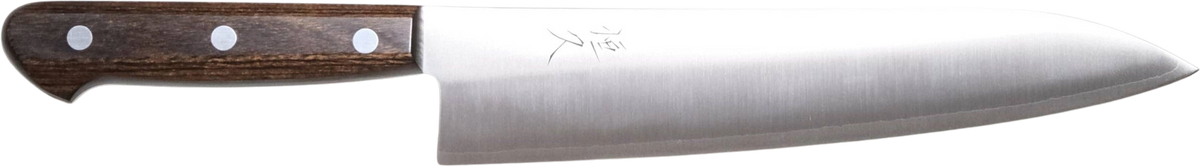 Tsunehisa SLD Gyuto - Migaki 210mm bıçak anatomisi: ağız, sırt, sap ve tang bölümleri